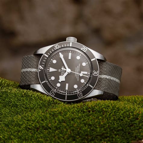 tudor black bay silver dial|tudor black bay bezel.